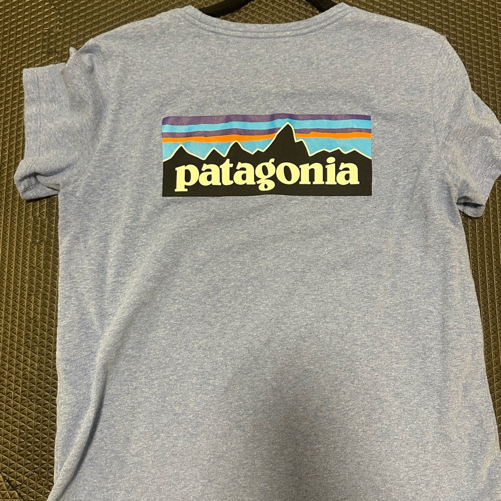 Patagonia Heather Blue Responsibili-Tee